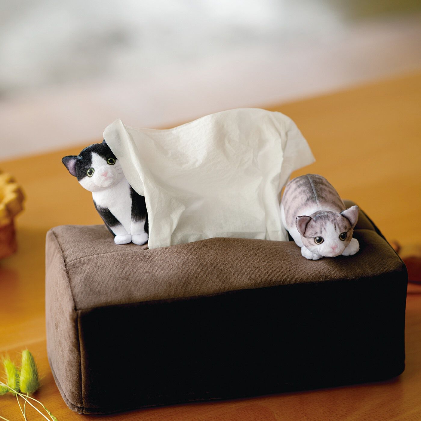 猫部|子猫がかくれんぼする　ボックスティッシュカバー