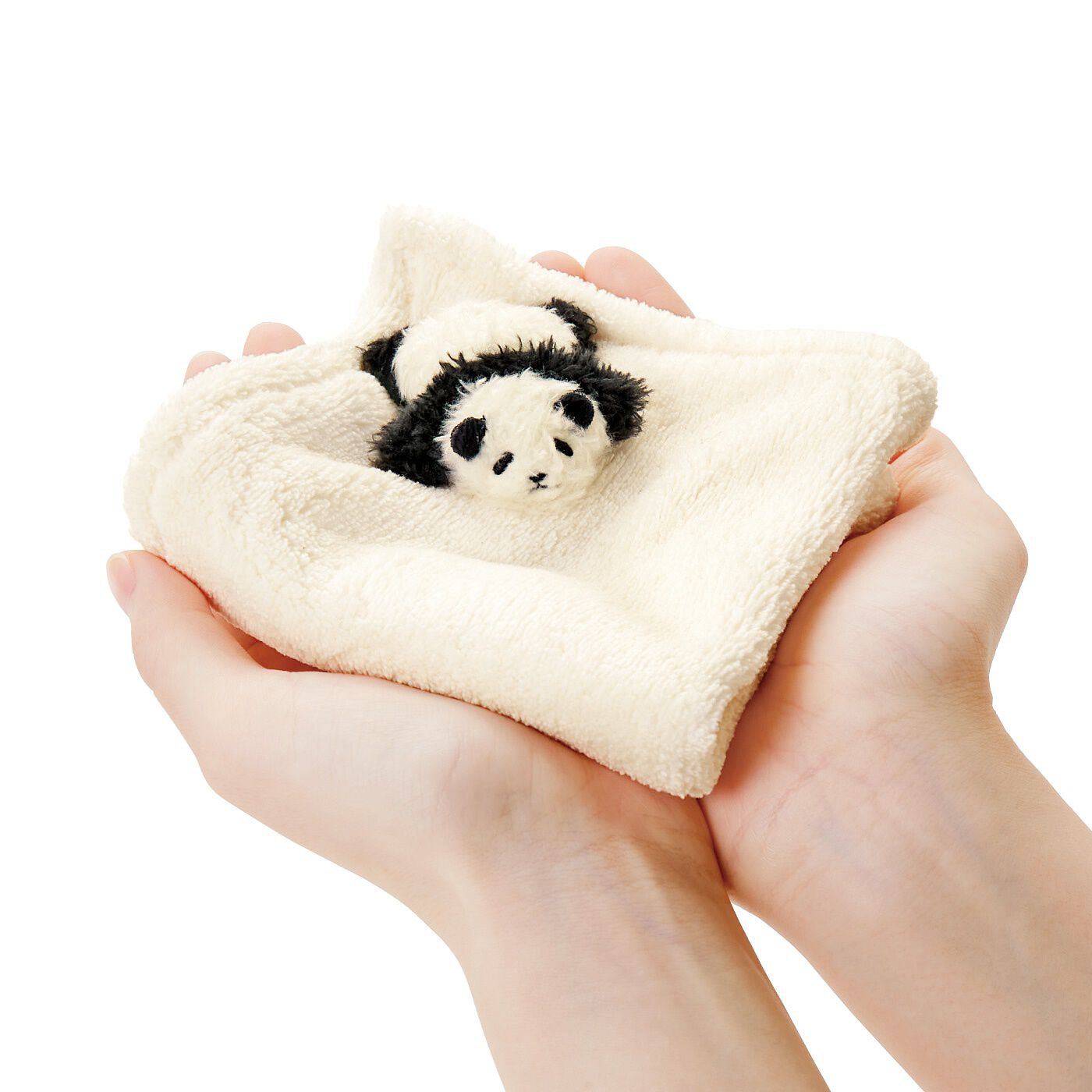 YOU+MORE!|YOU＋MORE!　毛布の上で寝かせられている　赤ちゃんパンダのハンカチの会