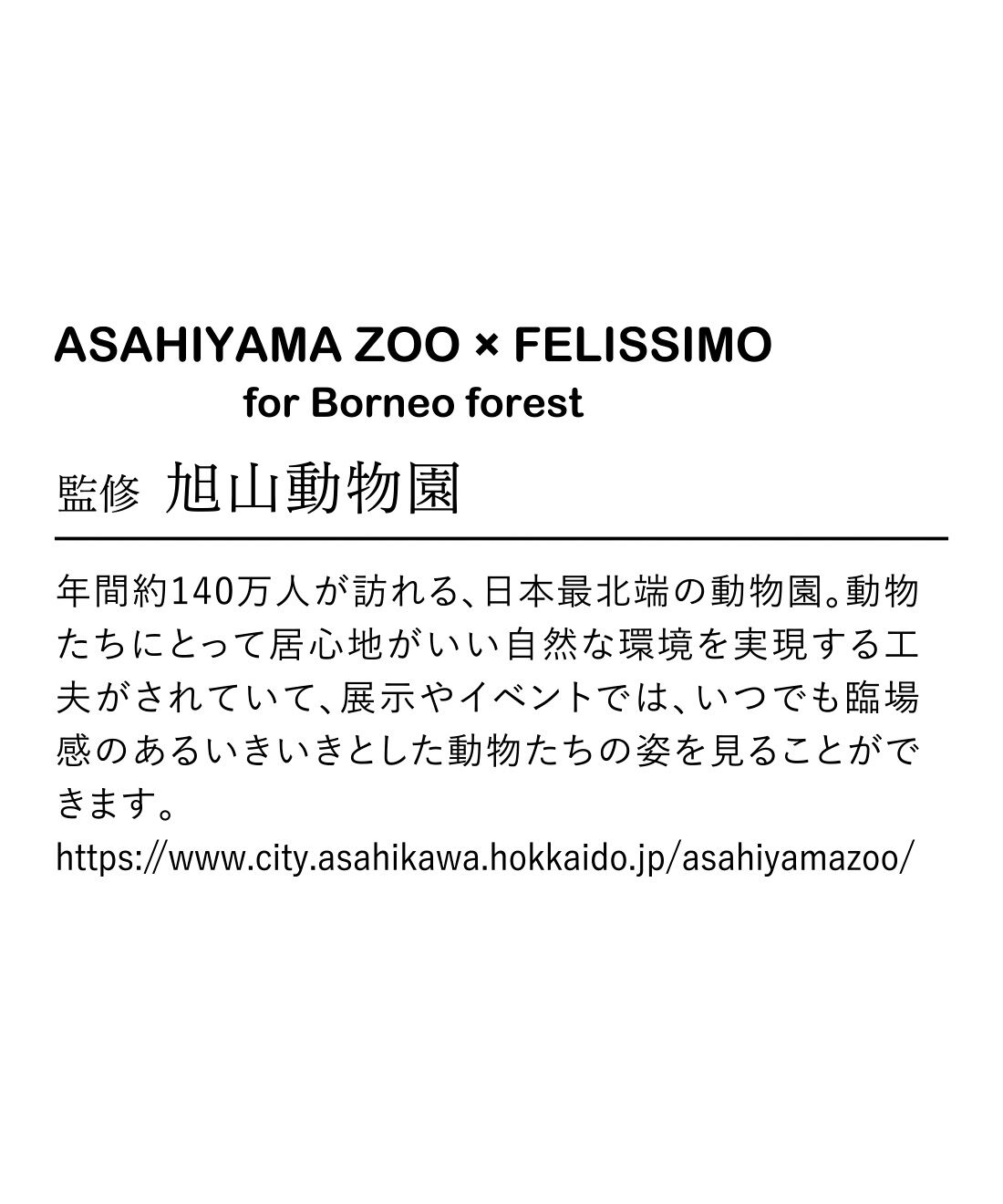 SeeMONO|旭山動物園・ボルネオの森応援商品 SeeMONO 土屋香子さんに教わる木彫りキットの会