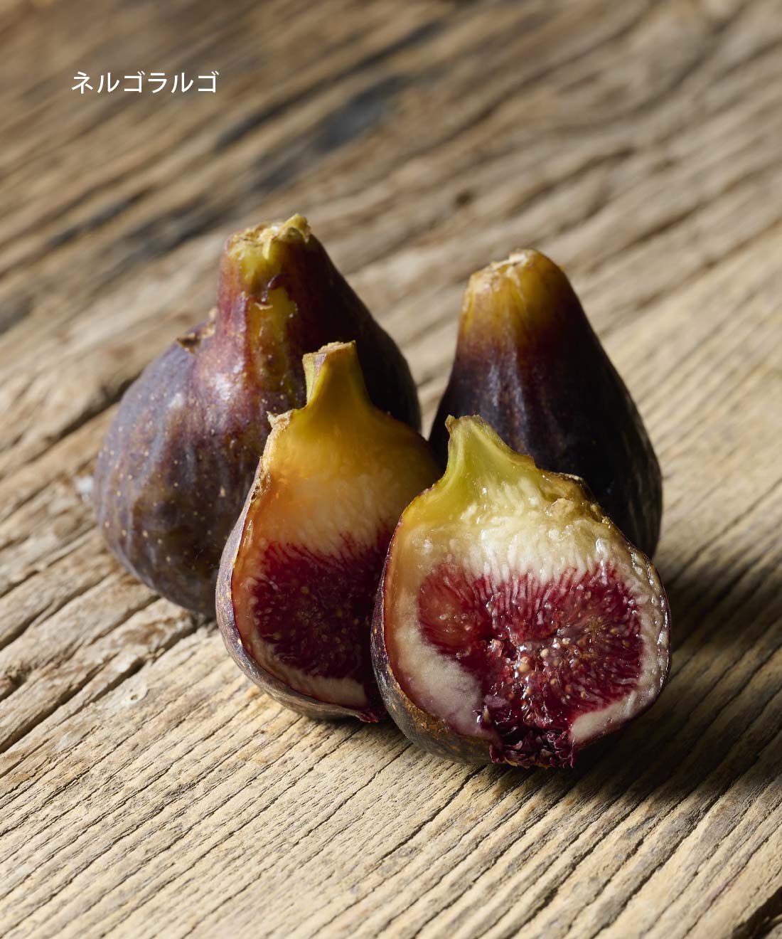 ごちSO! おとりよせマルシェ|【数量限定30セット・締切9月24日】食べるいちじく図鑑！ THE FIG 皮ごと食べれるいちじく4P